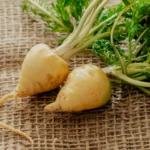 Maca Root  Boosts Your Energy